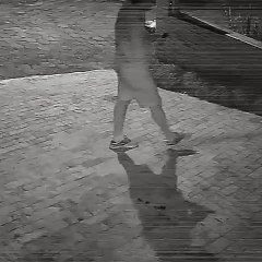 Vídeo flagra ação de quadrilha durante furto a casas em SC