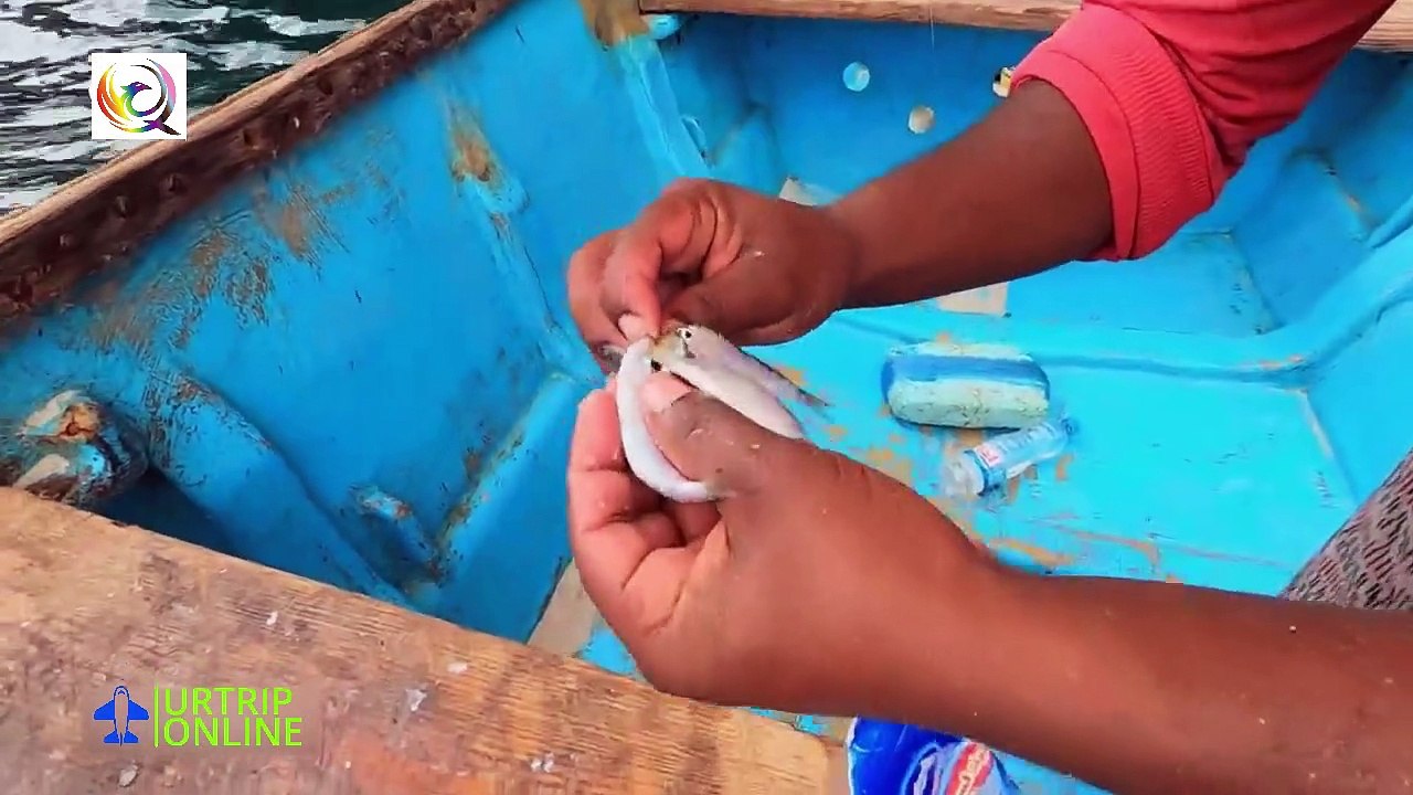 SOCATRA The Forgotten Island