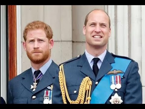 Il principe Harry e il principe William stanno ancora litigando perché le voci di colloqui di pace