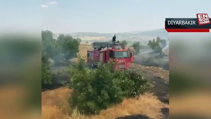 Diyarbakır Lice'de orman yangını çıktı