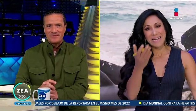 Mueren 97 ballenas piloto varadas en una playa de Australia