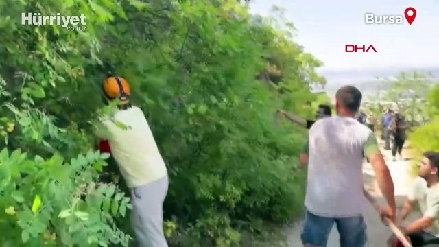 Bolu, Burdur, Muğla ve Bursa Uludağ'da orman yangını