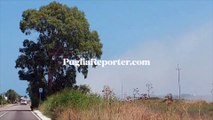 Margherita di Savoia: incendio distrugge vegetazione poco distante dalle saline