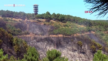 Sultangazi'de orman yangınına 'insan zinciri' ile su taşıdılar