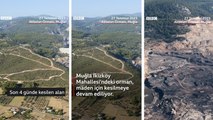BBC News Türkçe, Akbelen Ormanı'nın sürecini anlattı, İkizköylü halkı: Acı içindeyiz