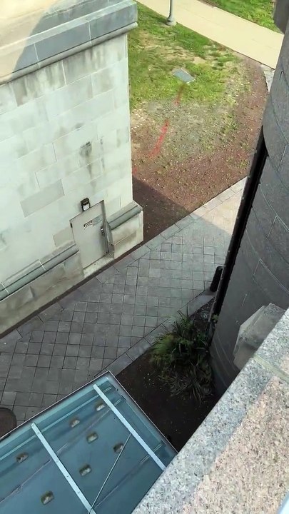 Tour d'équitation de mur circulaire BMX