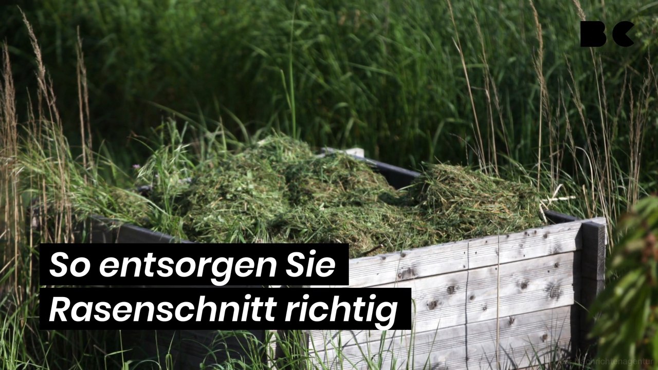 So entsorgen Sie Rasenschnitt richtig