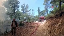 La réponse aérienne et terrestre à l'incendie se poursuit à Bolu： 50 hectares de terrain réduits en cendres
