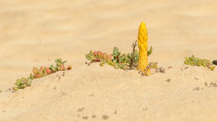 Una intensa ola de calor azota gran parte del planeta.