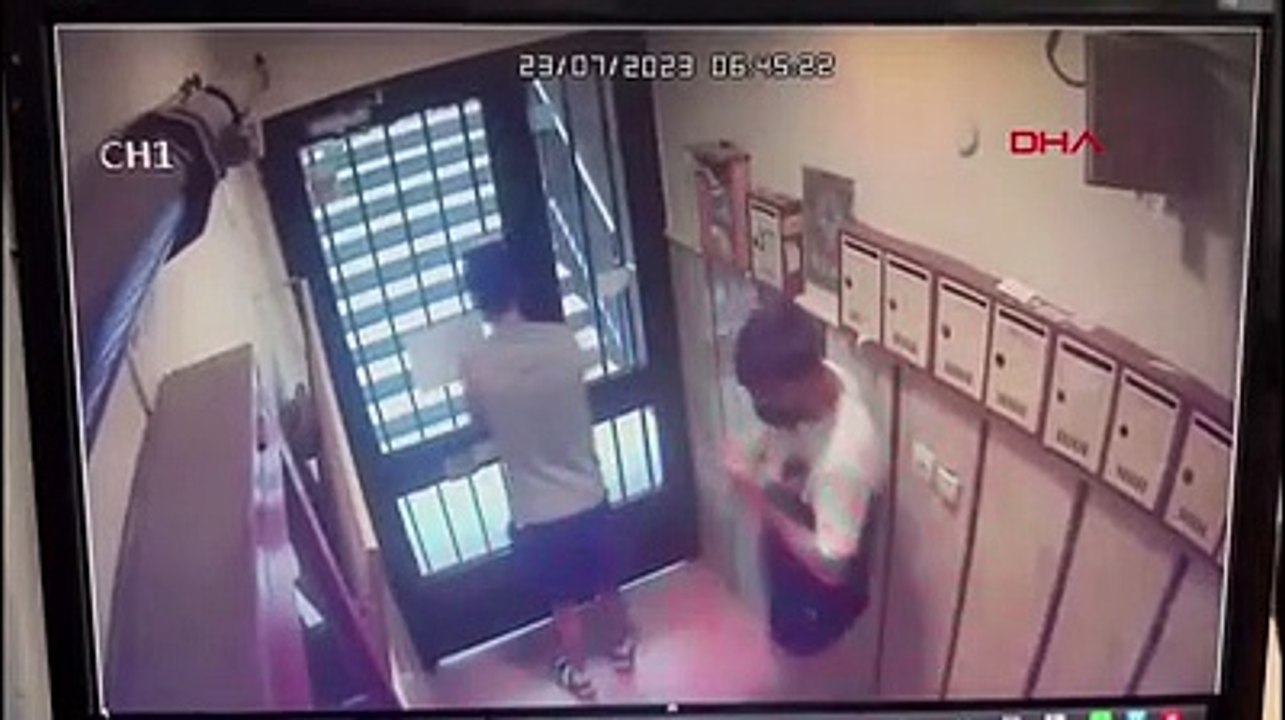 Şişli'de ilginç hırsızlık: İki telefon, iki bilgisayar, bir miktar para ve bir kedi