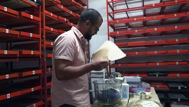 Costa Rica guarda un tesoro de semillas ante crisis climáticas o alimentarias