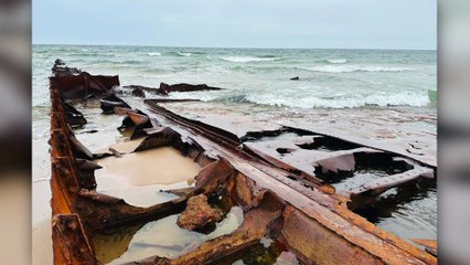 Sept nouvelles épaves pour le Musée des Îles