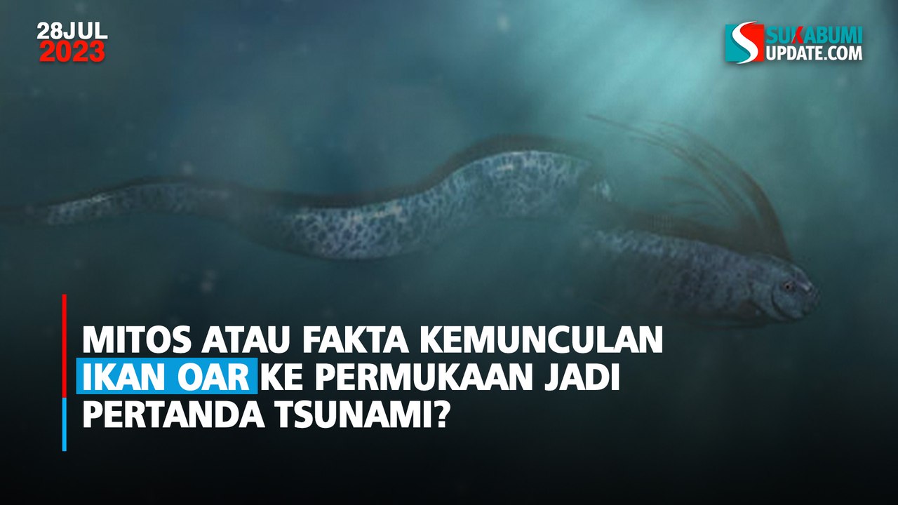 Mitos atau Fakta Kemunculan Ikan Oar ke Permukaan Jadi Pertanda Tsunami?
