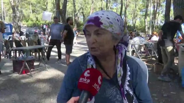 Muğla'da Ağaç Kesimine Karşı Direniş Devam Ediyor