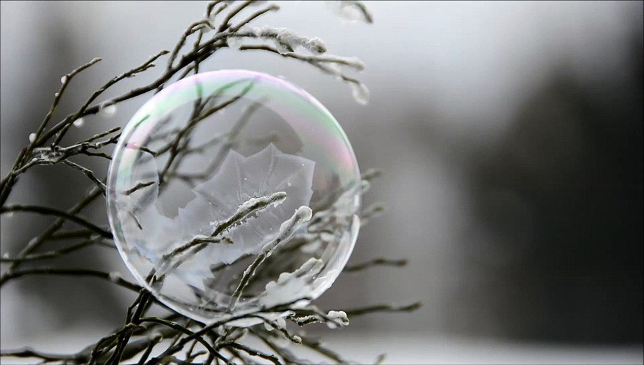 Captivating Frozen Bubble on a Winter Tree - Nature's Frozen Art