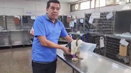 ext-mauricio-jimenez-una-280723