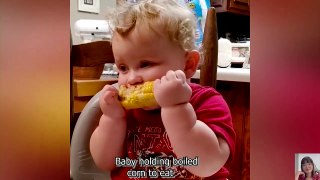 Adorable Babies Videos   Chubby Baby is Gluttonous with All Food