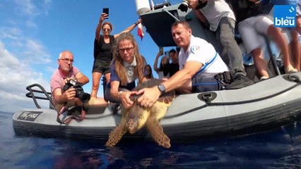 Pickwick reprend la mer