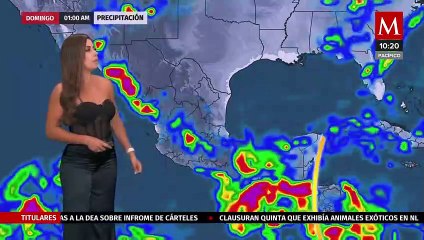 El clima para hoy 28 de julio de 2023, con Marilú Kaufman