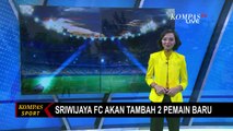 Manajemen Sriwijaya FC Buka Kemungkinan Penambahan 2 Pemain Asing Asia Jelang Liga 2 Musim 2023!