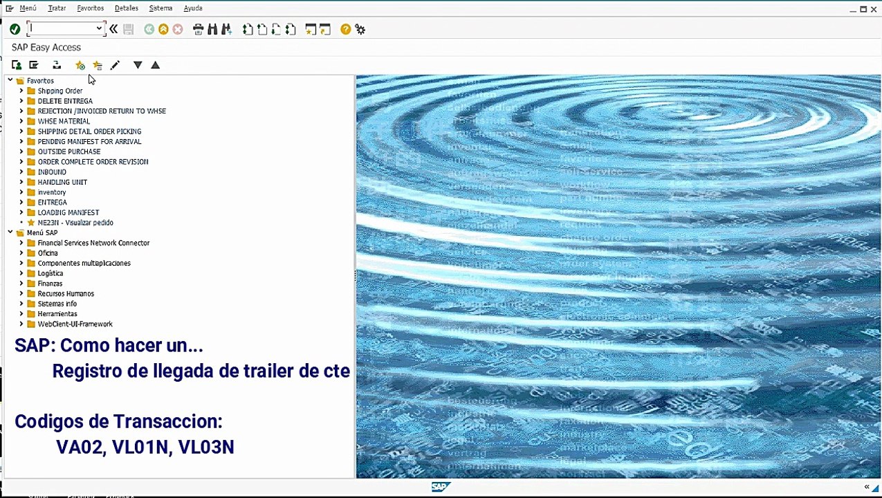 SD Registro de llegada de trailer del cliente
