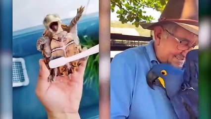 These Cute Baby Animals Will Make You Go Aww With Their Loveliness