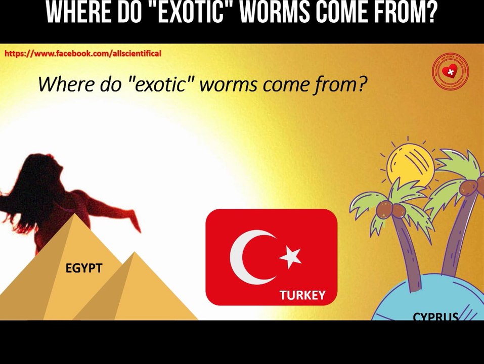 Where do "exotic" worms come from?