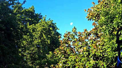 XIAOMI 13 Pro -July Reel - RAW UNCUT