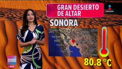 Sequía produce muerte masiva de peces en la presa El Saucillo