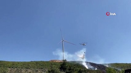 Le maquis et les oliveraies ont fait peur au feu à Didim