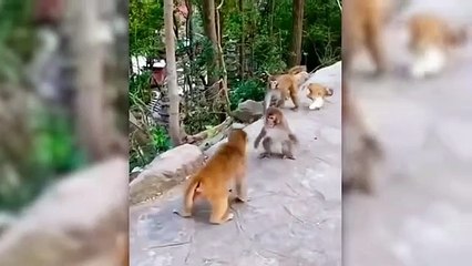 OMG! If This Was Not Recorded No One Would Believe It