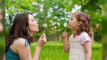 Interesting Facts About Fidget Spinners