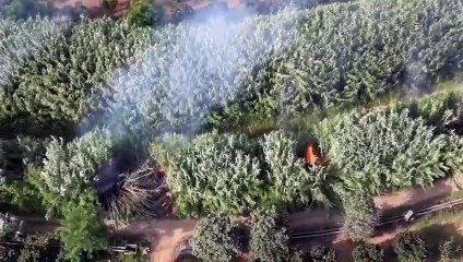 Drone 'apanha' possível incendiário em incêndio em Itália