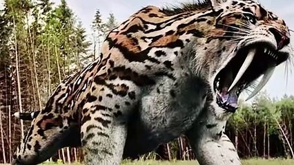 Here’s Why Animals Are No Longer Afraid of Lions!