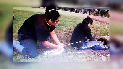 Great People Saving Animals Lives #6