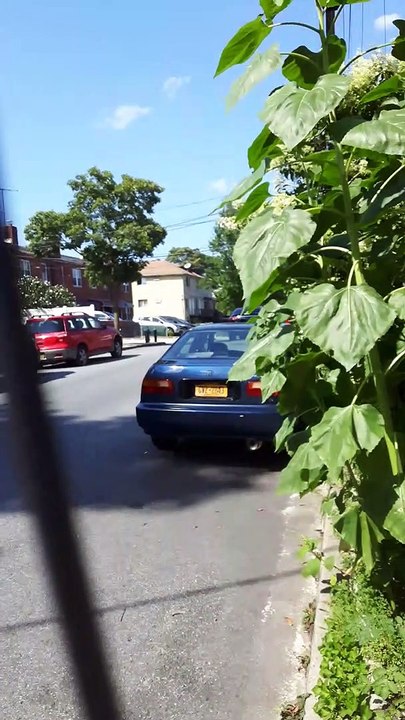 Anime/Manga Hip Hop Got Me Leveled Up