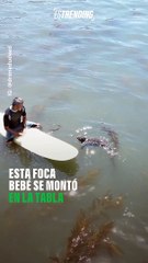 ¡También quiero que Sammy sea mi amiga!