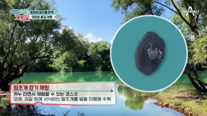 말조개 수확 내기 콜? 엄마VS딸 불꽃 대결의 승자는! 시작과 동시에 조개 득템한 글라디스♪