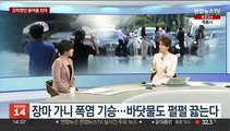 [뉴스초점] 장마 가니 폭염 기승…바닷물도 펄펄 끓는다