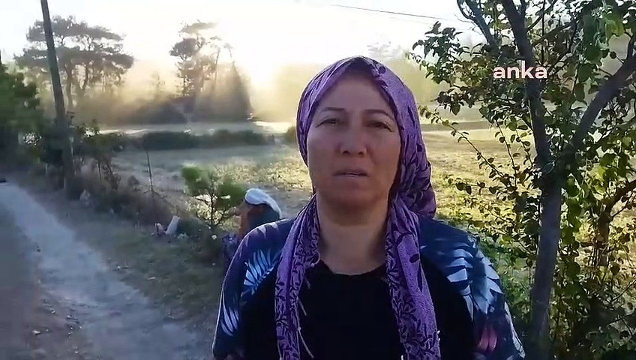 La manifestation contre l'abattage d'arbres se poursuit à Akbelen