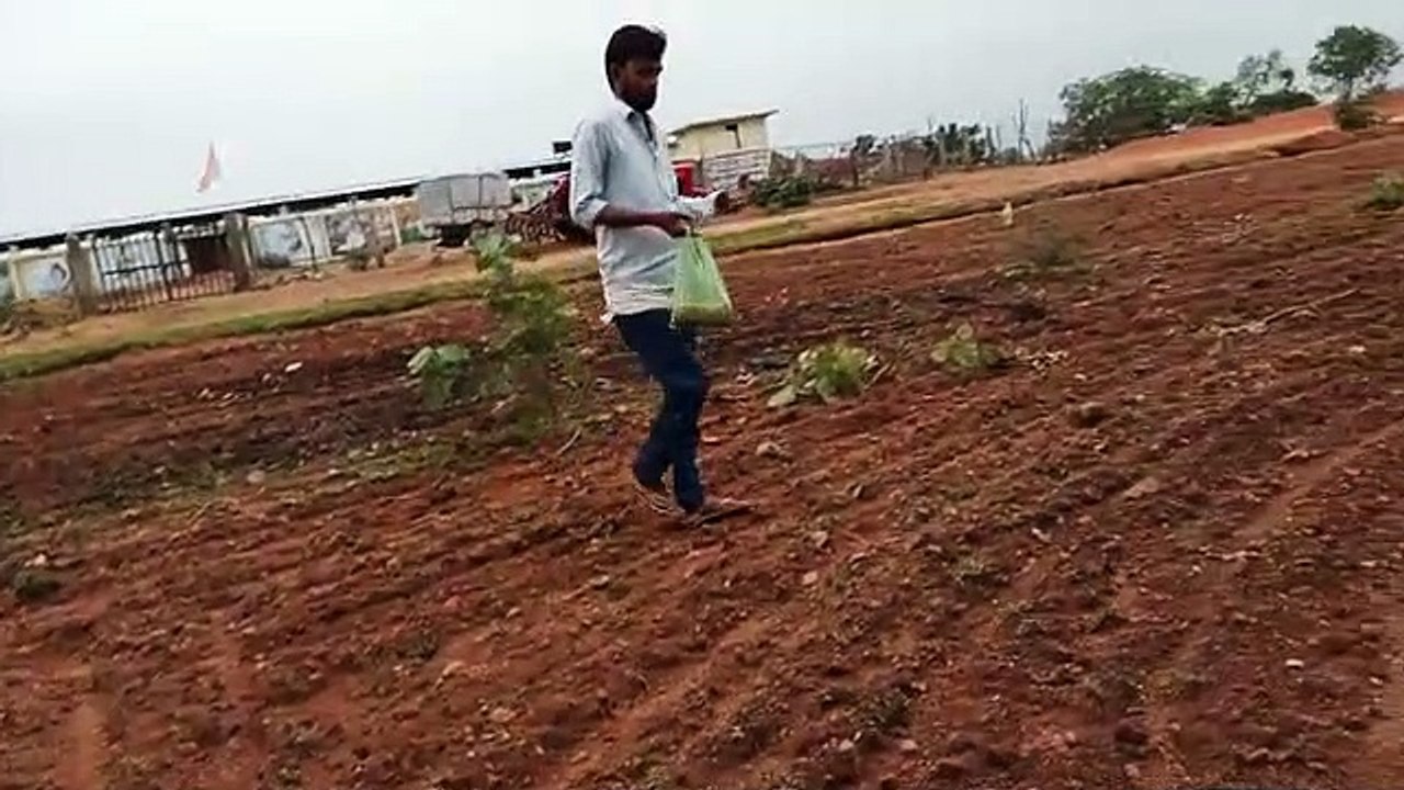 खेतों का निरीक्षण करते कृषि विभाग के अधिकारी