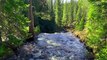  Peaceful Forest River Sounds  1 Hour of Calming Nature Ambiance 