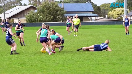 Highlights from Cats' clash with Dockers