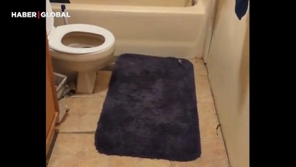Klozetini tamamen kaplayan yılanla böyle karşılaştı!