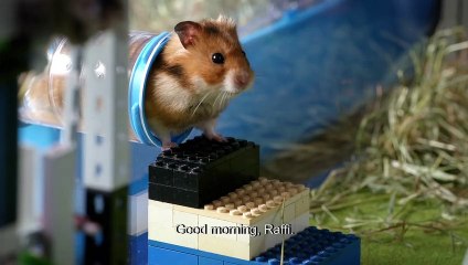 Rettet Raffi! Bande-annonce (ES)