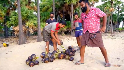 പനനൊങ്ക് ചുട്ടത് _ Grilled Palm Fruit Fry _ M4 Tech _