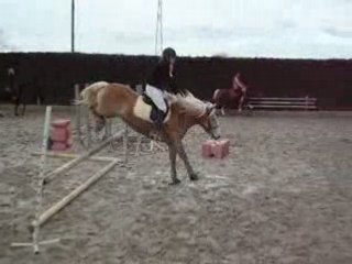 Octa 80 cm vertical II