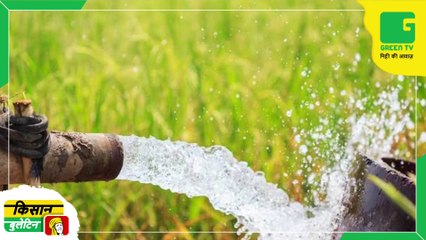 Kisan Bulletin 29 July 2023 - Central Government launched Urea Gold - Know what is Urea Gold and its benefits | Green TV