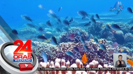 Coral reef sa Sebaste, Antique, tumatambad kapag low tide | 24 Oras Weekend