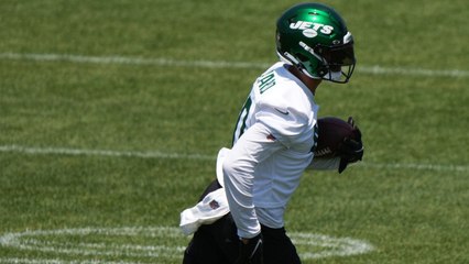 NFL 23-24 DFS Preview: What NY Jets' WR's Should You Be After?